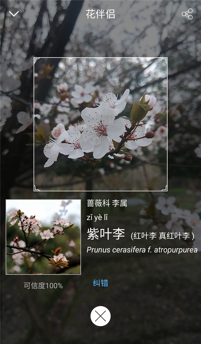 Screenshot_2020-02-29-18-28-40-079_cn.com.robusof_副本.jpg Screenshot_2020-02-29-18-28-40-079_cn.com.robusof_副本.jpg
